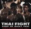 Тайцы снова доминировали на THAI FIGHT 2013